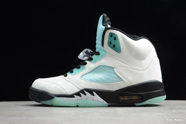 Kick Theory Island 5 CN2932-100 Jordan Green Air 0817